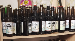 Sörtípusok, lager, pilsner,ale